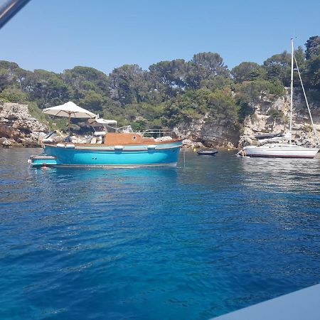 Een Parel Aan De Cote 'D Azur ! Lejlighed Vallauris Eksteriør billede